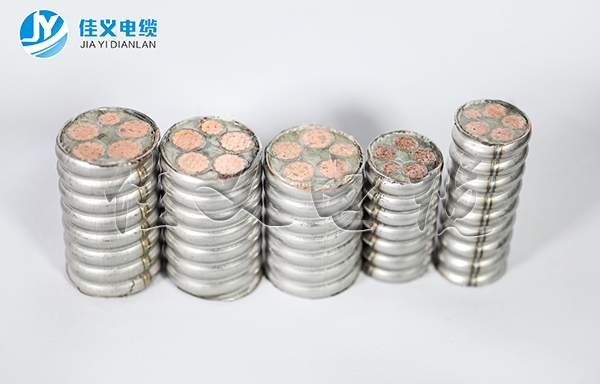 HFTGB不锈钢柔性东北麻豆黄片链接厂家