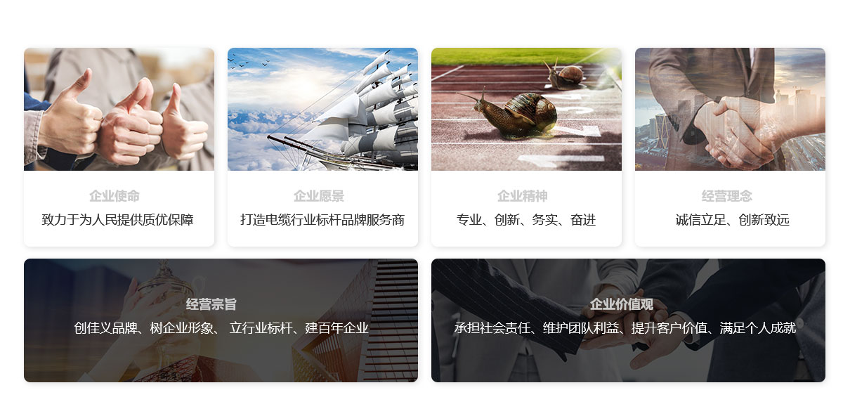 辽宁精品麻豆公司电缆有限公司